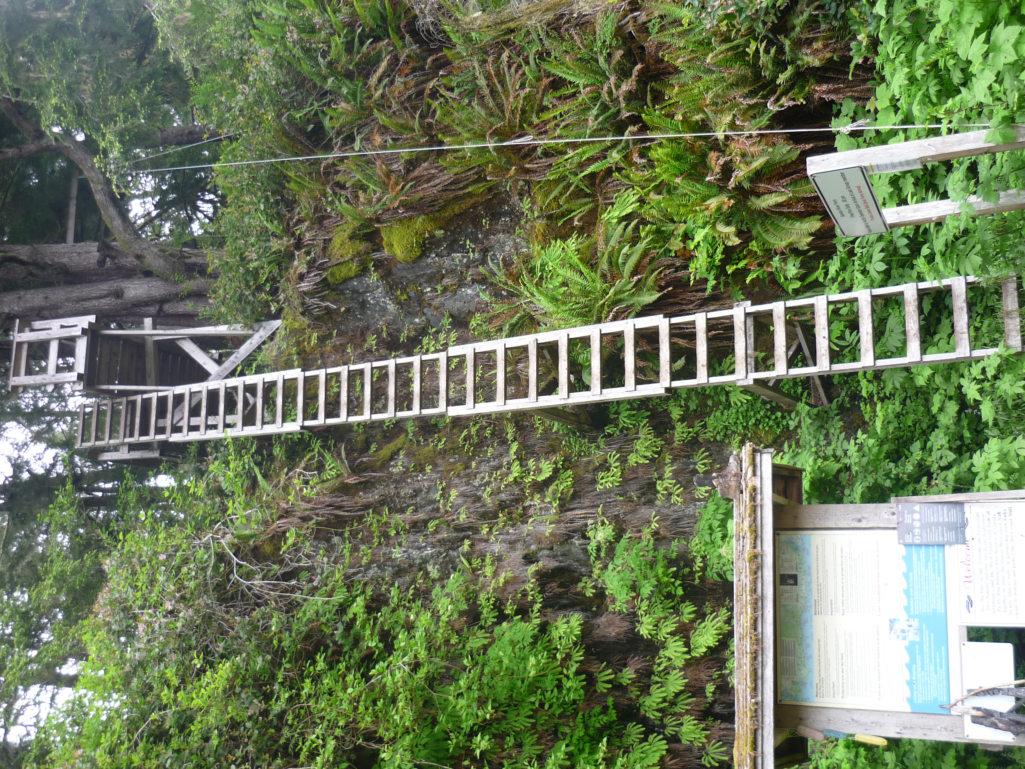 Port renfrew outlet hikes